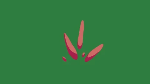Red flower bunny ' s ears the letter v arrow illustration colorful elements Stock Footage 335696509