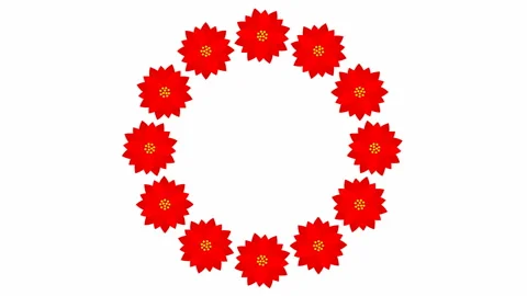 Red flower circle white Stock Footage 234742967