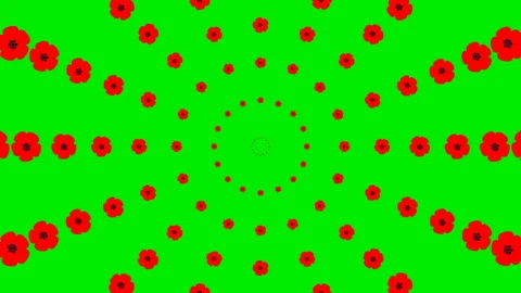 Red flower circles background green Stock Footage 231684701