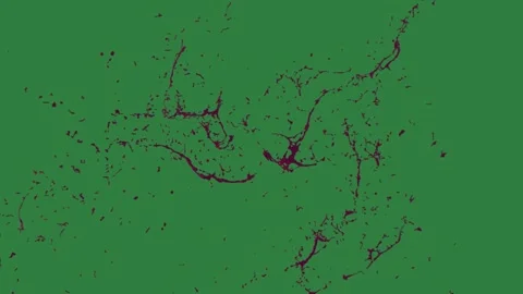 A red flower on green screen and with stain it lot of blood black spots dots Видео 335067165