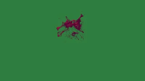 A red flower on green screen and blood stain with lot of it black white Видео 335067196