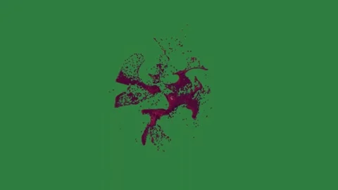A red flower on green screen and splash of blood with lot it spots black white Видео 335067244