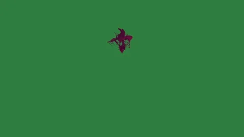 A red flower on green screen and with stain it lot of blood paint large group Видео 335067296