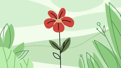 Red Flower Growing and Blooming in Green Garden Vídeo Stock 346581697