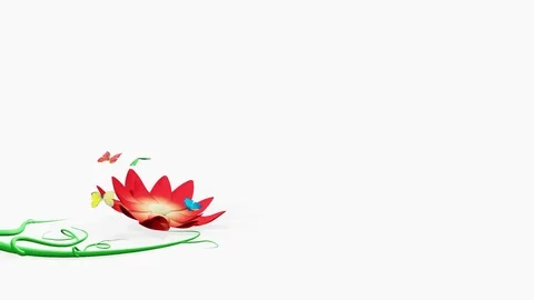 Red flower grows, opens and butterflies fly out of it on a white background Stock Footage 74577337