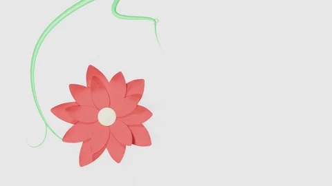 A red flower grows on a white background. Stock Footage 74183252