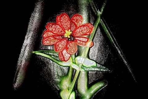 Red flower Stock Illustration