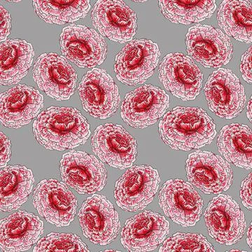The red flower Illustrazione stock