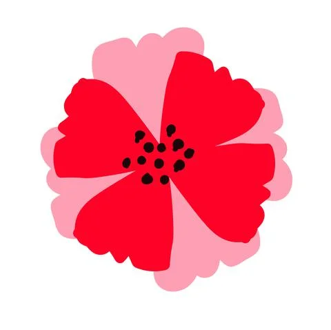 Red flower isolated on white background. Stock Illustration