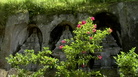 Red flower maya temple Video stock 108730