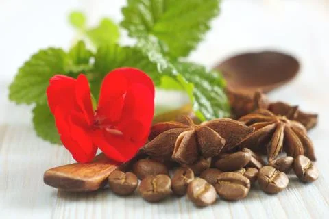Red flower mint leaf coffee anise food ingredients Stock Photos
