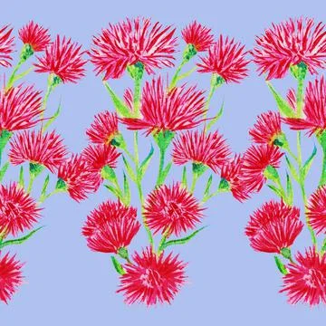 The red flower is a multi-leaved cornflower blooms in sunny summer Stock Illustration