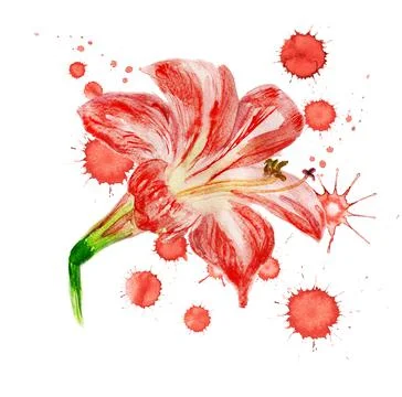 Red flower with paint blots Stock Illustration