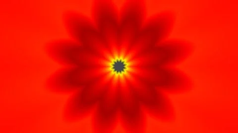 Red flower (pattern) Stock Footage 8925627