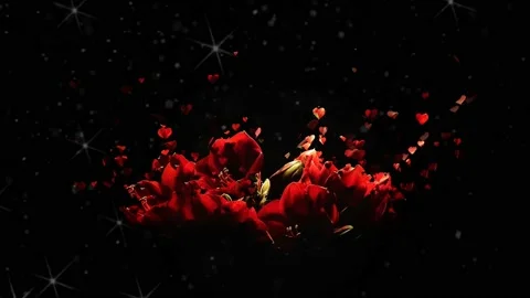 Red Flower petals falling 3D background concepts - Beautiful Red blossoms. Stock Footage 141021921