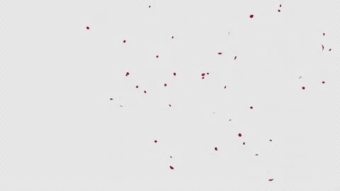 Red Flower Petals Falling Down Transparent Overlay Stock Footage 338079386