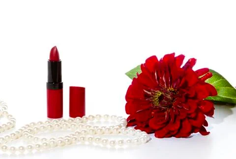 Red flower Stock Photos