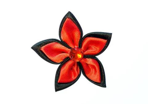 Red flower. Stock Photos