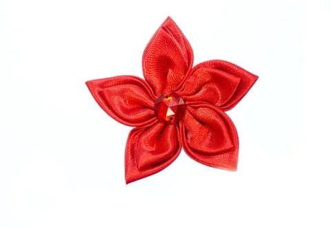Red flower. Stock Photos