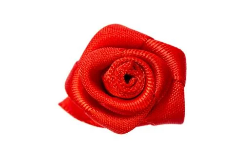 Red flower. Stock Photos