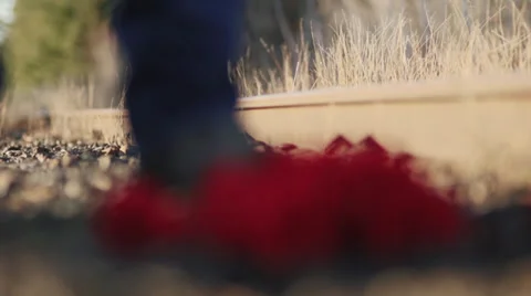 Red Flower, Train Tracks, Winter, Rack Focus Stock-Footage 33692321