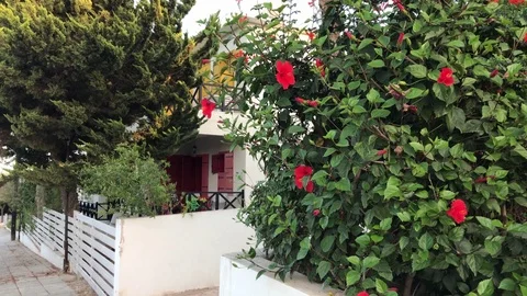 Red Flower Tree vs Vacation Flat Balcony in Protaras Stock Footage 91483402