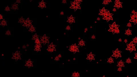 Red Flower VJ Loops Stock Footage 74359751