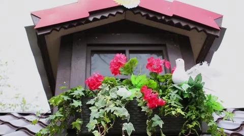 Red flowerbed at second floor window and roof at spring day Stock Footage 65181059