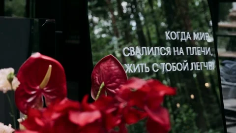 Red flowers against the background of a green forest Stock Footage 318162753