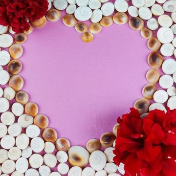 Red Flowers and Seashell Border on Pink Background with Copy Space. Stock Photos