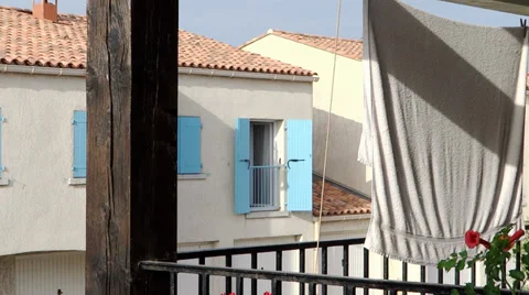 Red flowers, blue shutter and black birds Stock-Footage 33480052