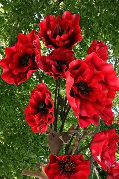 Red flowers for decoration Stock Photos