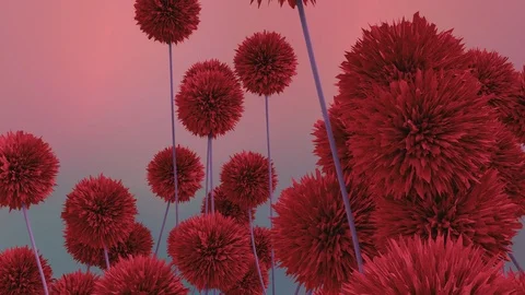 Red Flowers Stock Footage 113894805