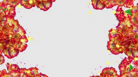 Red Flowers Frames Stock-Footage 171530856