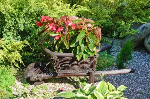 Red flowers in the garden on a small decorative wooden wagon Stock Photos
