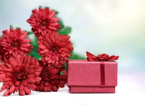 Red flowers with gift box for ring on white table. Burgundy chrysanthemums Stock Photos
