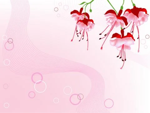 Red flowers Stock Illustration