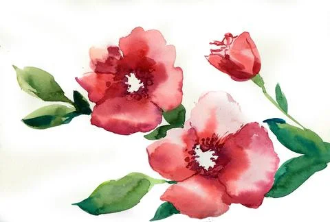 Red flowers Stock Illustration