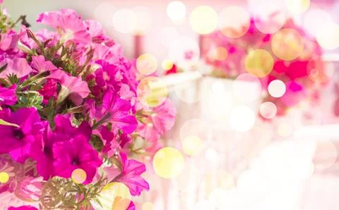Red flowers Stock Photos