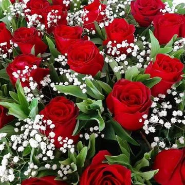 Red flowers Foto stock