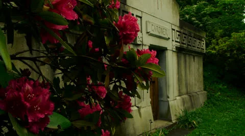 Red Flowers by Tomb Stock-Footage 24145172