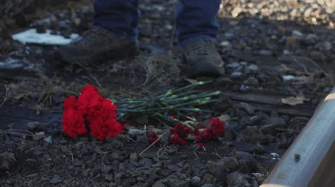 Red Flowers on Train Tracks Stock-Footage 33695589