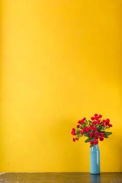 Red flowers in vase on yellow background Stock Photos