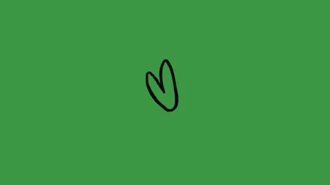 Red Fluffy Doodle Heart Animation on Green Screen Background. Hand Drawn Line Ar Video stock 318410093