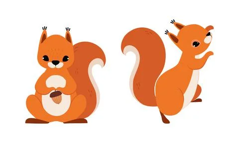 Red Fluffy Squirrel with Bushy Tail Sitting with Acorn and Climbing Vector Set イラスト素材