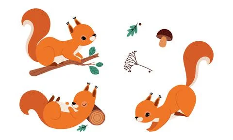 Red Fluffy Squirrel with Bushy Tail Sitting on Tree Branch and Jumping Vector Stock Illustration