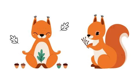 Red Fluffy Squirrel with Bushy Tail Sitting and Meditating in Yoga Pose Vector Stock Illustration