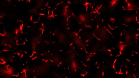Red fluid motion background seamless loop dark abstract liquid wave animation Stock Footage 346219464