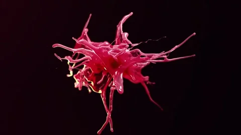 Red fluid splash with dynamic liquid motion creates artistic shape Stock Footage 327572963