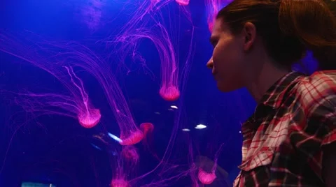 Red fluorescent jellyfish Stock Footage 62811893